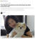 WHO가 코로나19 확진자 애완견에 대한 조사를 홍콩 당국과 벌이고 있다. 사진 SCMP 캡처