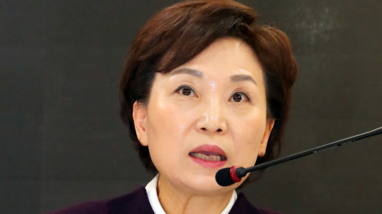 김현미, 베트남에 항의 서한…“우리 항공기만 불허한 건 부당한 차별”