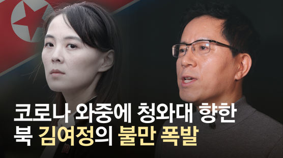 [영상]'백두공주' 김여정은 왜 한밤 저주의 담화를 쏟아냈나