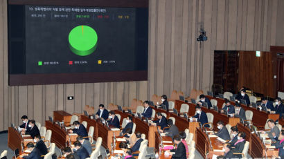 '딥페이크 포르노 처벌 강화법' 국회 본회의 통과