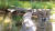 미국 펜실베이니아에 거주하는 로버트 부시가 그의 집 인근의 한 통나무 다리에 설치한 카메라를 통해 촬영한 야생동물들. [밥스 펜실베이니아 와일드카메라 캡처]
