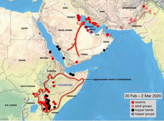 2월 20일부터 3월 2일까지 메뚜기떼 창궐 상황. [FAO 제공]