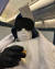 영화배우 세바스찬 스탠이 비행기 안에서 마스크와 장갑, 모자를 착용하고 있다. [인스타그램 캡처] 