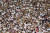브라질 축구팬이 11일 사웅파울루 모룸비 스타디움에서 코파 리베르타도레스 경기를 보면서 환호하고 있다. EPA=연합뉴스