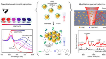 서울시립대 연구팀, 금 나노입자 이용한 가습기 살균제 성분 검출 방법 개발 