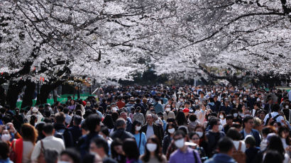[서소문사진관] 코로나19 우려에도 도쿄는 벚꽃놀이 인파로 북적