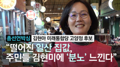 [총선언박싱]김현아 "일산 집값 추락, 김현미에 분노 느낀다“