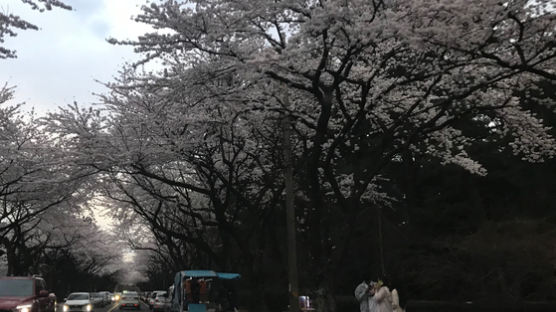 확진 모녀 '이기적 여행'에 소송…관광객 끊긴 제주의 고민