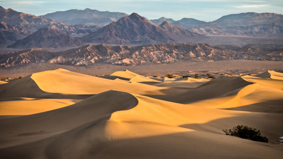 [한 컷 세계여행]신기루? 죽음의 계곡서 만난 '꿈틀대는 사막'