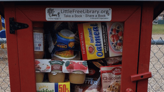"저장식품 맘 편히 가져가세요" 美'작은 도서관', 물품 나눔 상자로 변신했다