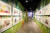 첫 번째 통로에는 2018 볼로냐 국제 일러스트상 수상자인 벤디 버닉의 그림들이 벽면 한가득 전시되어 있다. 