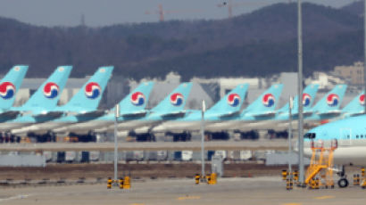 [단독]대한항공 극약처방…외국인 파일럿 모두 조종간 놓는다