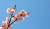 29일 오후 경기도 용인 에버랜드 하늘매화길에 다양한 종류의 매화들이 만개해 있다. [뉴스1]