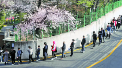 [사진] 중국행 비자 신청 장사진