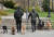 미국 뉴욕 시민들이 지난달 31일(현지시각) 반려견들과 함께 산책을 하고 있다. AFP=연합뉴스