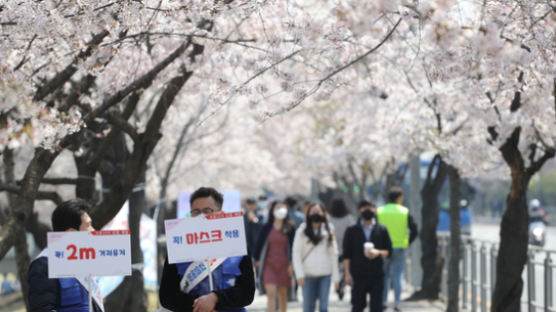 벚꽃만개·부활절·클럽번개…이번주 코로나 최대 고비가 온다