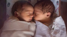 [서소문사진관] 인도 쌍둥이 이름이 '코로나'와 '코비드', 아기 호랑이도 '코비드'..."코로나19 고난 극복 상징으로"