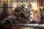 벵갈 아기 호랑이 '코비드'가 멕시코 코르도바의 '아프리카 바이오 동물원'에서 5일(현지시간) 누워 있다. [AFP=연합뉴스] 