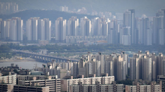  김현미에 분노 일산, 집값 폭등 마용성···총선 '아파트 표심'은