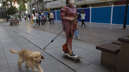중국 도시들, 개·고양이 식용 금지···동물가치 20배 벌금부과
