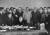 1941년 4월 일소 중립조약을 체결하고 서명하는 마쓰오카. 이 또한 1939년에 있었던 독소불가침조약만큼 세계를 놀라게 한 예상치 못한 사건이었다. [사진 wikipedia]