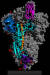 코로나19 바이러스의 단백질 구조. 중앙포토