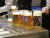 독일에서 열리는 세계 최대 맥주 축제 옥토버페스트. pixabay 제공