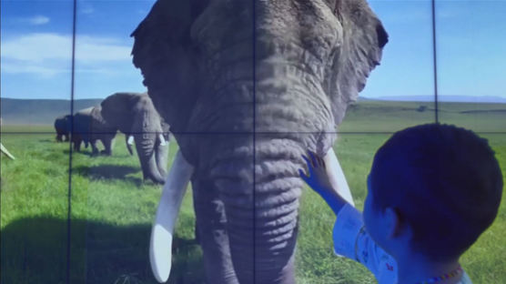 [포토클립] 소아암 환아, VR 코끼리와 만나다