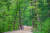 오대산 월정사 앞에는 전나무 늘어선 아름다운 숲길이 있다. [사진 국립공원공단]