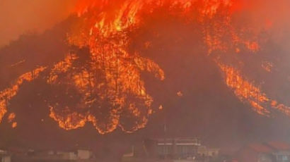 강풍 타고 불똥 날린다···안동 산불에 세계유산 병산서원 위험