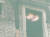 베네치아에 나타난 해파리. 사진 인스타그램 캡처