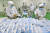 지난 2월 중국 쓰촨성 수이닝시 마스크 공장에서 직원들이 완성된 마스크를 포장하고 있다.[AP=연합뉴스]