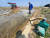 1일 충북 진천군 문백면 장월뜰에서 한 농민이 양수기를 이용해 논에 물을 대고 있다. 최종권 기자
