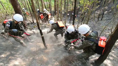 고성 산불 12시간 만에 잡혔다···"현재 잔불 진화 작업 중" 