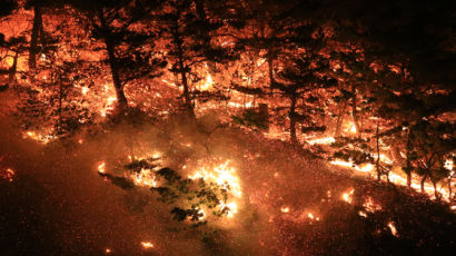 2만3448㏊ 산림 탄 역대 가장 큰 산불도 봄철 고성서 발생