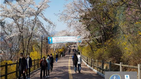 황금연휴 ‘방역 고삐’…서울시, 공원 어린이날 행사 모두 취소