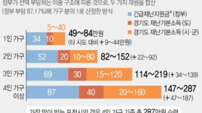 "경기도민 재난지원금 최다···정부지원 합쳐 최대 287만원"