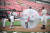 5일 수원 KT 위즈 파크에서 열린 KT 위즈와 롯데 자이언츠의 개막전에서 이라운 군이 야구공 형태의 대형 투명 워킹볼 안에서 행진하는 스페셜 시구를 하는 모습. [사진 KT 위즈]