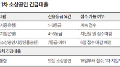 “승인까지 났는데 이제와 한도 소진 통보” 소상공인 울린 코로나대출