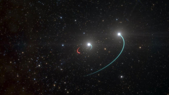 지구서 약 1000광년 떨어진 ‘가장 가까운 블랙홀’ 관측됐다