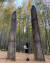 아홉산숲에 '더 킹:영원의 군주'에 등장한 차원의 문 '당간지주'가 서 있다. 인스타그램에 '아홉산숲'을 검색하면 수많은 인증사진을 찾을 수 있다. [사진 인스타그램 @youngnii]