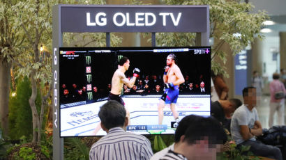 LG, ‘올레드’ 상표권 소송서 패소…‘OLED=LG’ 아니다