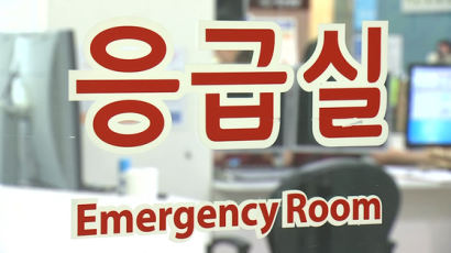 응급실서 간호사·보안요원 폭행한 30대 벌금 700만원