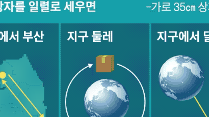 [그래픽텔링] 비타민 배송 작년말 갑자기 늘었다···택배로 본 한국의 삶