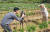 충남 청양군 운곡면에서 고추·구기자 농사를 짓고 있는 귀농 3년차 박우주·유지현씨 부부가 유튜브에 올릴 영상을 찍고 있다. [사진 청양군]