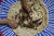 예멘에서 사람들이 메뚜기를 활용해 음식을 만들고 있다. 신화통신=연합뉴스