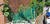 부산 동래구에 거주하는 70대 여성이 빌라 화단과 옥상에 양귀비 100그루를 재배하다 지난 20일 경찰에 적발됐다. [사진 부산경찰청]