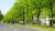요솁 보이스가 독일 카셀에서 선보인 '7000그루의 떡갈나무' 작품. 떡갈나무 옆에 현무암이 함께 놓여있다. [사진 PLF]