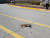 지난 3월 15일 경북 포항시의 한동대학교 통학로에 고양이 사체가 놓여있다. 무언가에 눌려 죽은 것으로 추정된다. 동물보호 동아리 '한동냥'