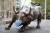 뉴욕의 월스트리트를 상징하는 황소 동상이 마스크를 쓰고 있다. [AFP=연합뉴스]